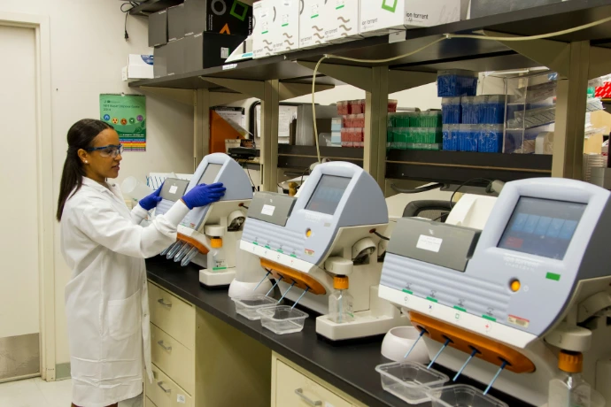 lab